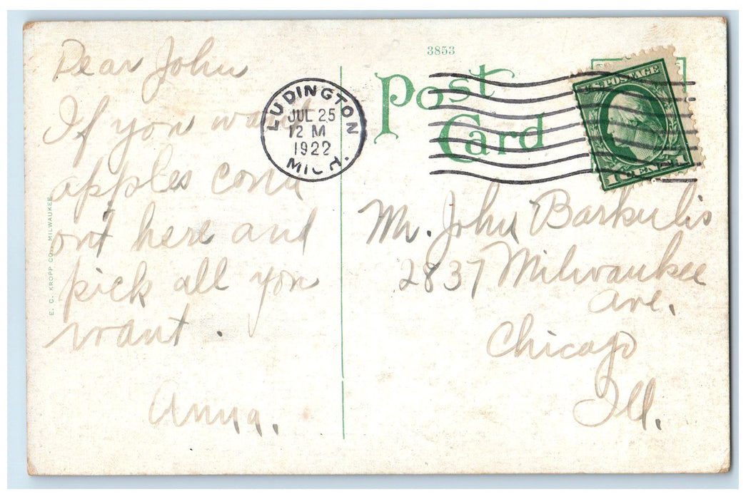 1922 Steamer Carferry Loading At Dock View Ludington Michigan MI Posted Postcard
