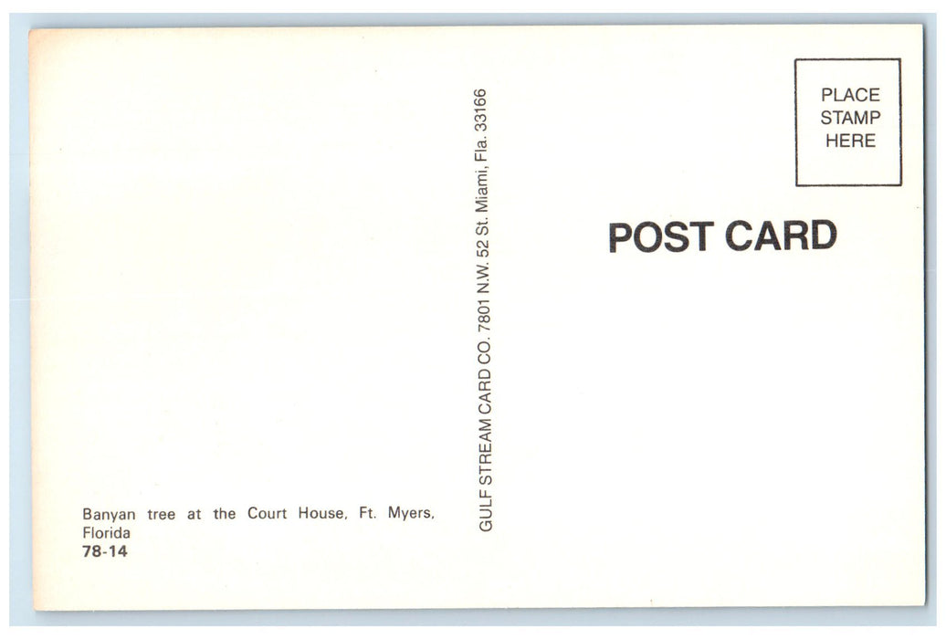 c1950's Banyan Tree At The Court House Classic Van Ft. Myers Florida FL Postcard