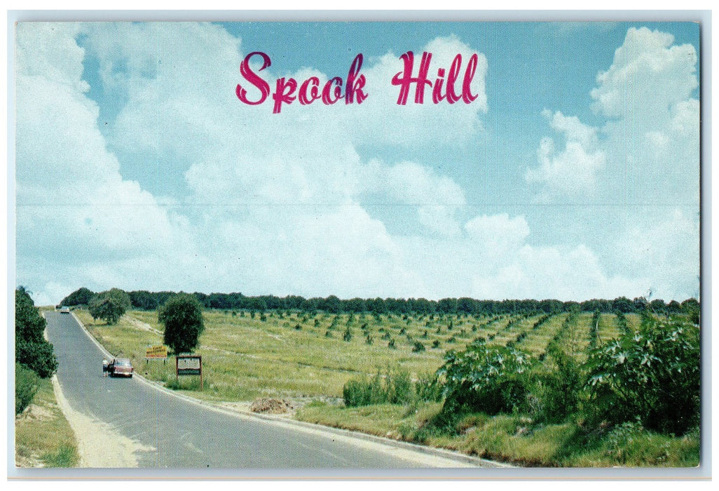 c1950's Legend Of Spook Hill Car On The Road View Lake Wales Florida FL Postcard