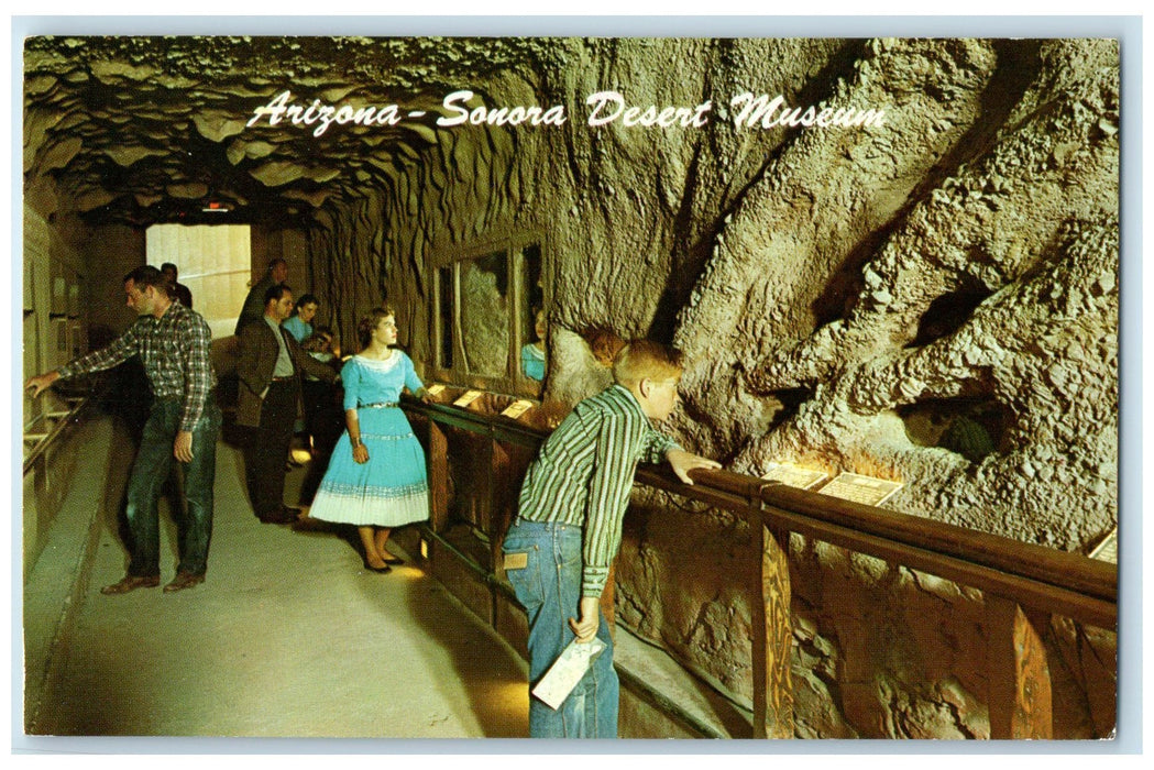 c1950 Underground Tunnel Desert Museum Tourist Arizona Sonora Tucson AZ Postcard