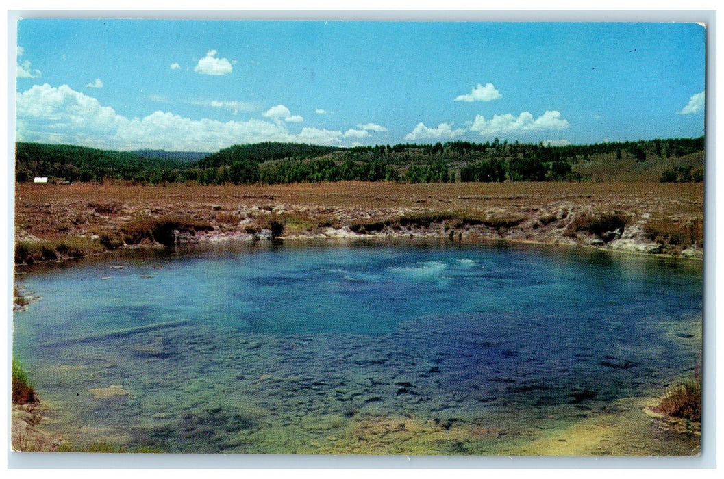 c1950's Pagossa Springs Hot Mineral Springs Rocky Mountain Colorado CO Postcard