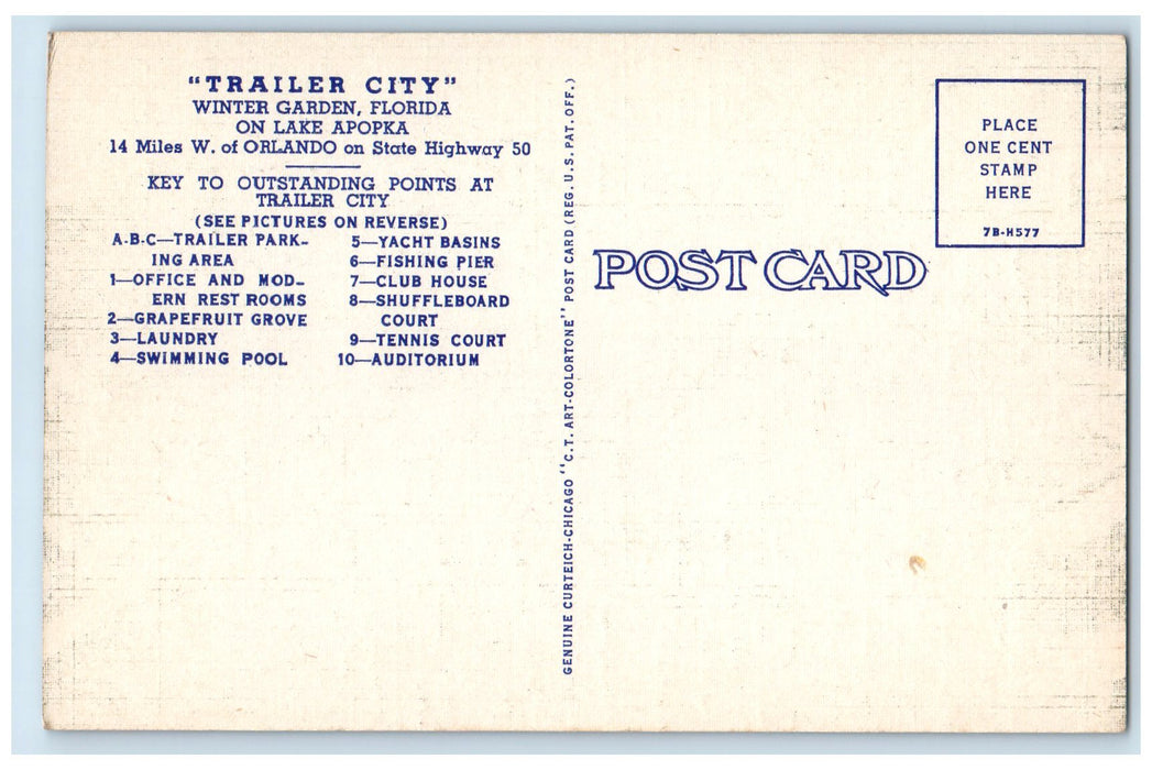 c1940's Trailer City Lake Apopka Winter Garden Florida FL Unposted Tree Postcard