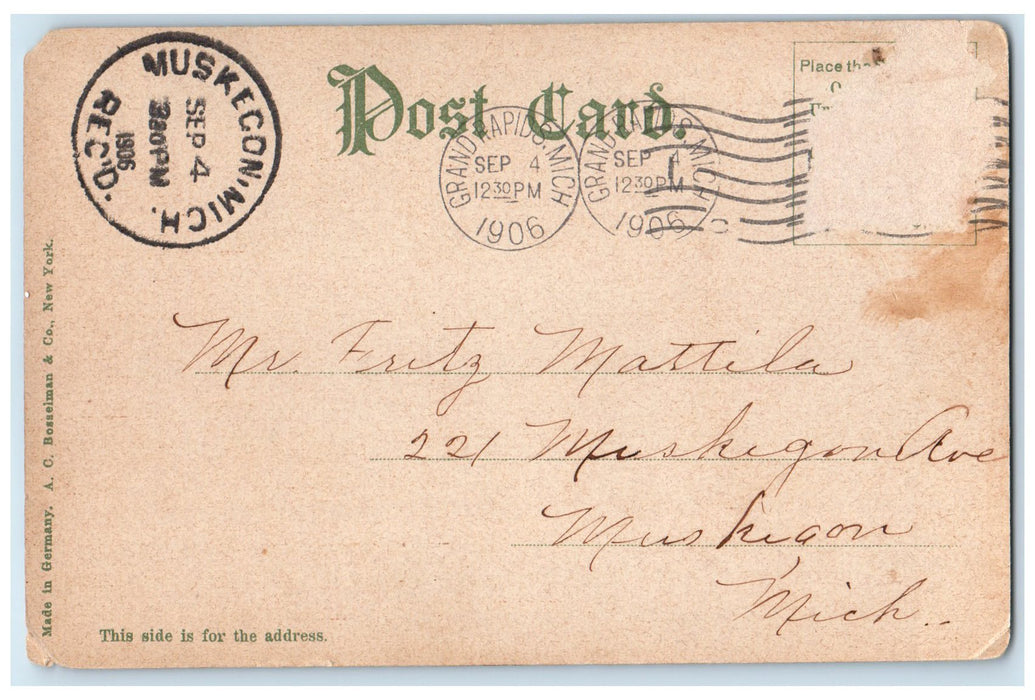 1906 Ryerson's Public Library Exterior Roadside Grand Rapids MI Posted Postcard