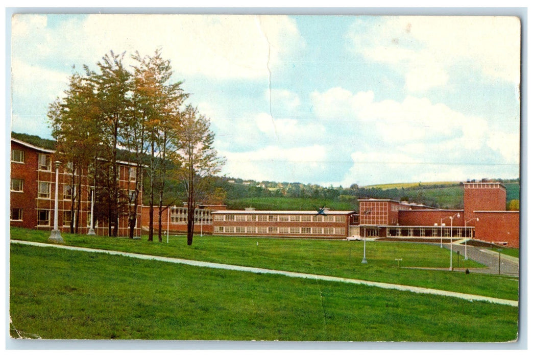 1951 Harpur College State University Of Binghamton New York NY Posted Postcard