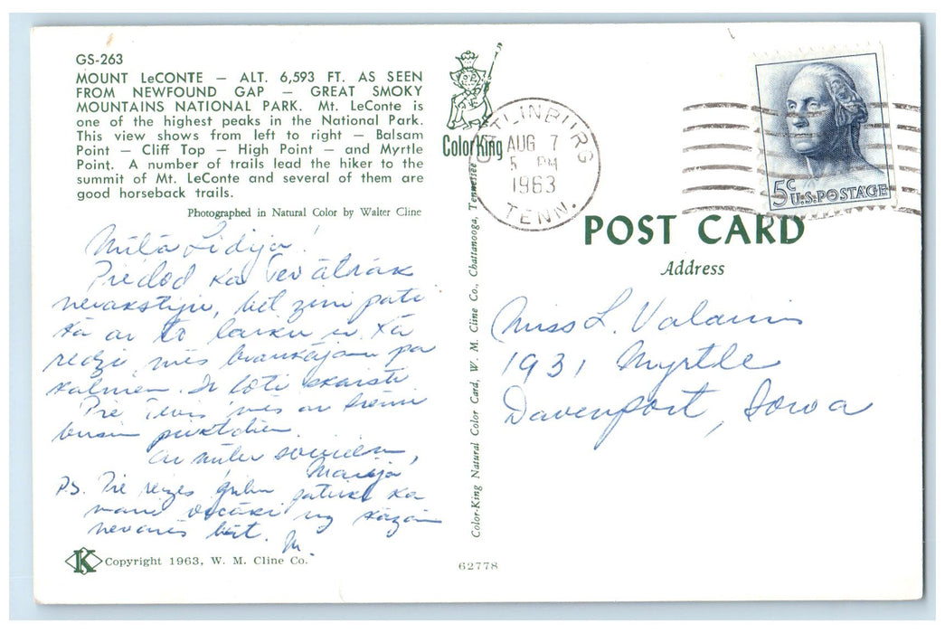 1963 Mount LeConte Seen From NewFound Gap Gatlinburg Tennessee TE Trees Postcard
