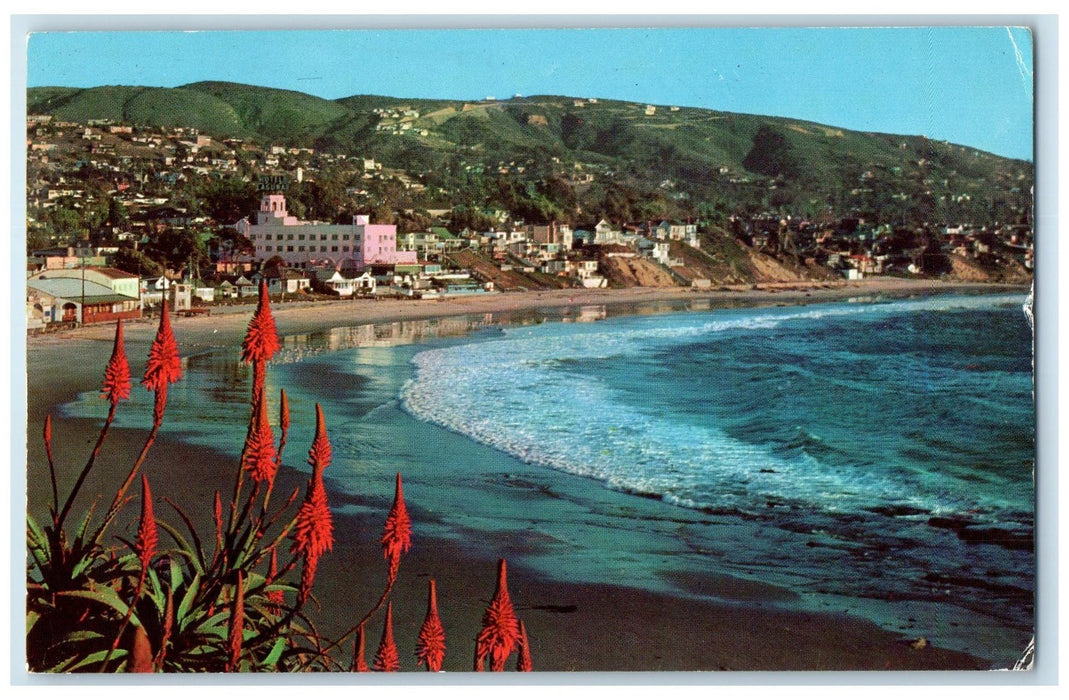 1961 At Christmas Time Heisler Park Laguna Beach Florida FL Posted Tree Postcard