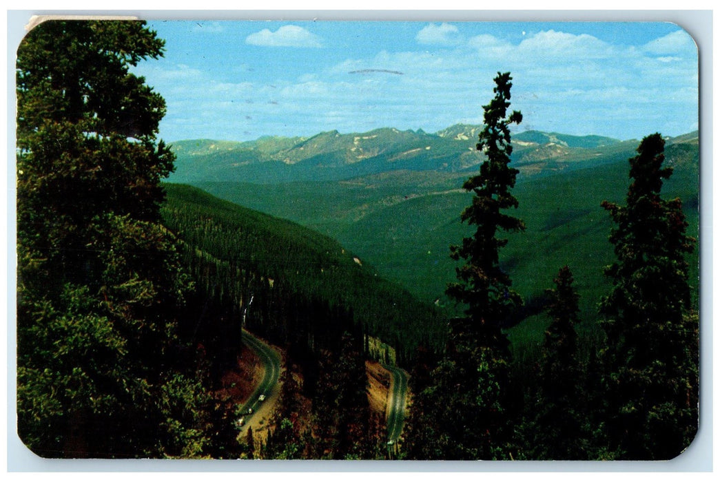 1957 Switchbacks On Western Slope Berthoud Pass Denver Colorado CO Tree Postcard