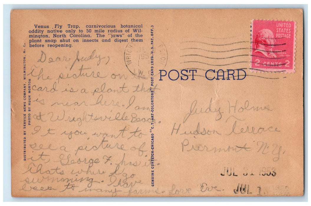 1953 Venus Fly Trap Native Only This Area Wilmington North Carolina NC Postcard