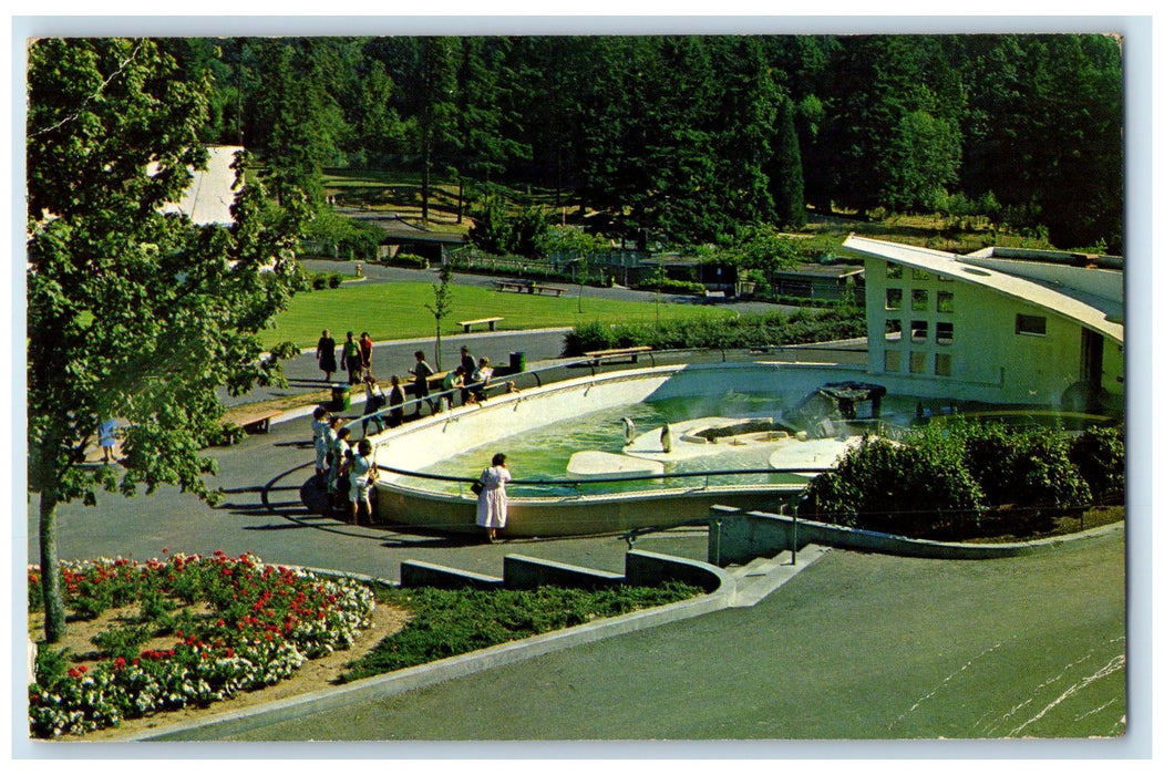 c1950's Portland Zoological Garden's Park Penguins Visitors Oregon OR Postcard