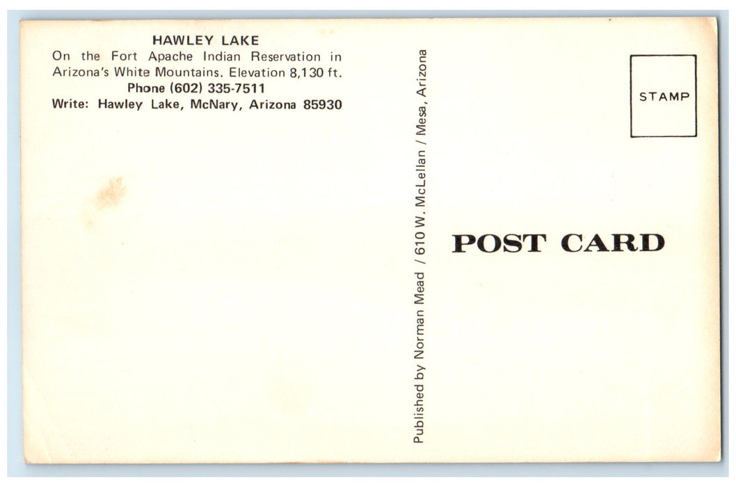 c1950's Hawley Lake Mountains Grove View McNary Arizona AZ Unposted Postcard