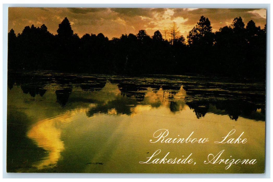 c1950's Rainbow Lake Grove Reflection View Lakeside Arizona AZ Unposted Postcard