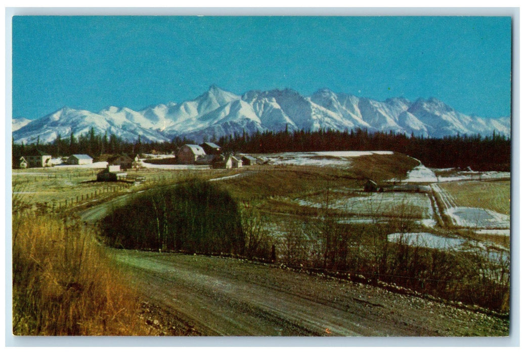 c1950 Fertile Agricultural Area Town Palmer Matanuska Valley Alaska AK Postcard