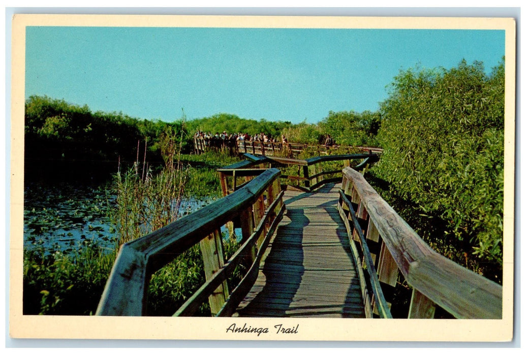 c1920 Anhinga Trail Ever Glades Rustic Bridge National Park Florida FL Postcard