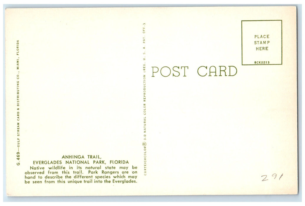c1920 Anhinga Trail Ever Glades Rustic Bridge National Park Florida FL Postcard