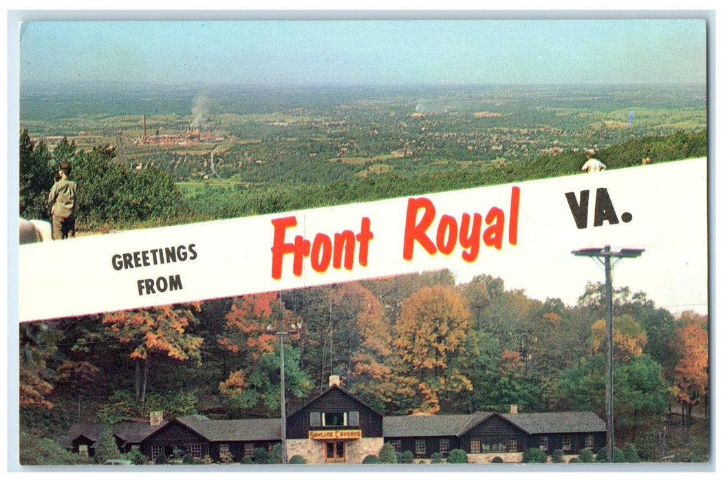 c1950 Greetings From Front Royal Multiple View Lodge Motel Virginia VA Postcard