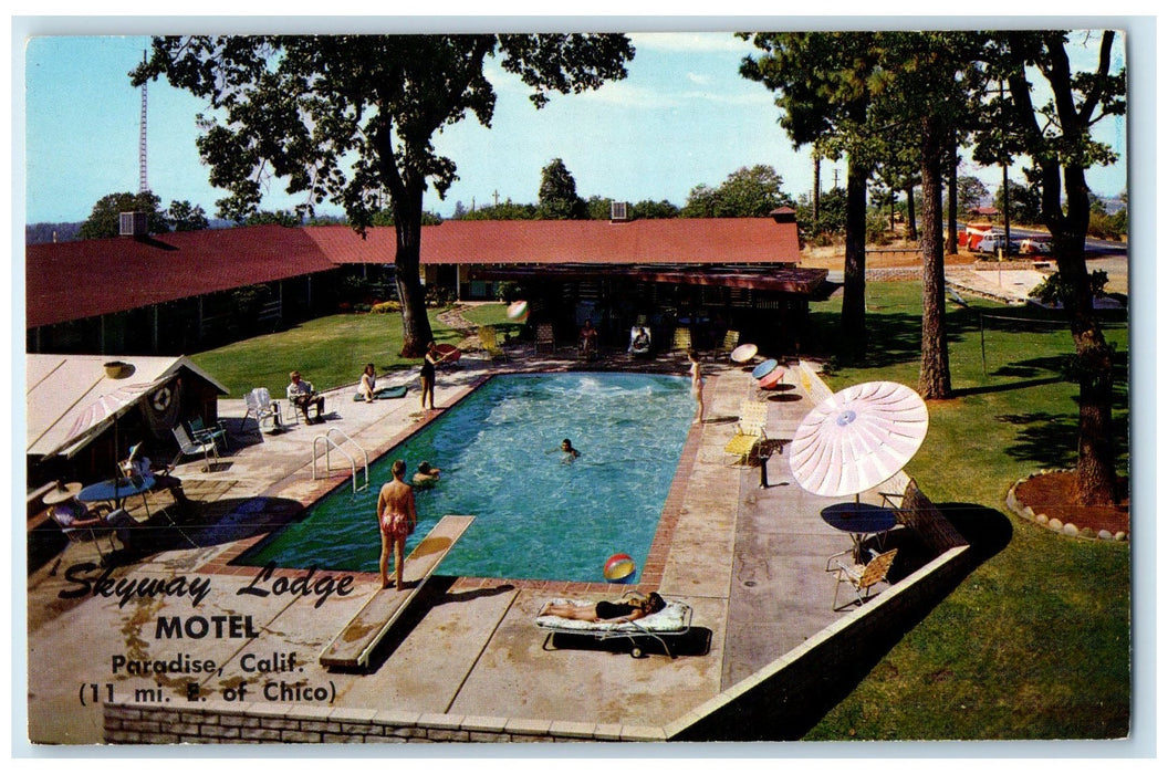 c1960's Skyway Lodge Motel Butte County California CA Unposted Swimming Postcard