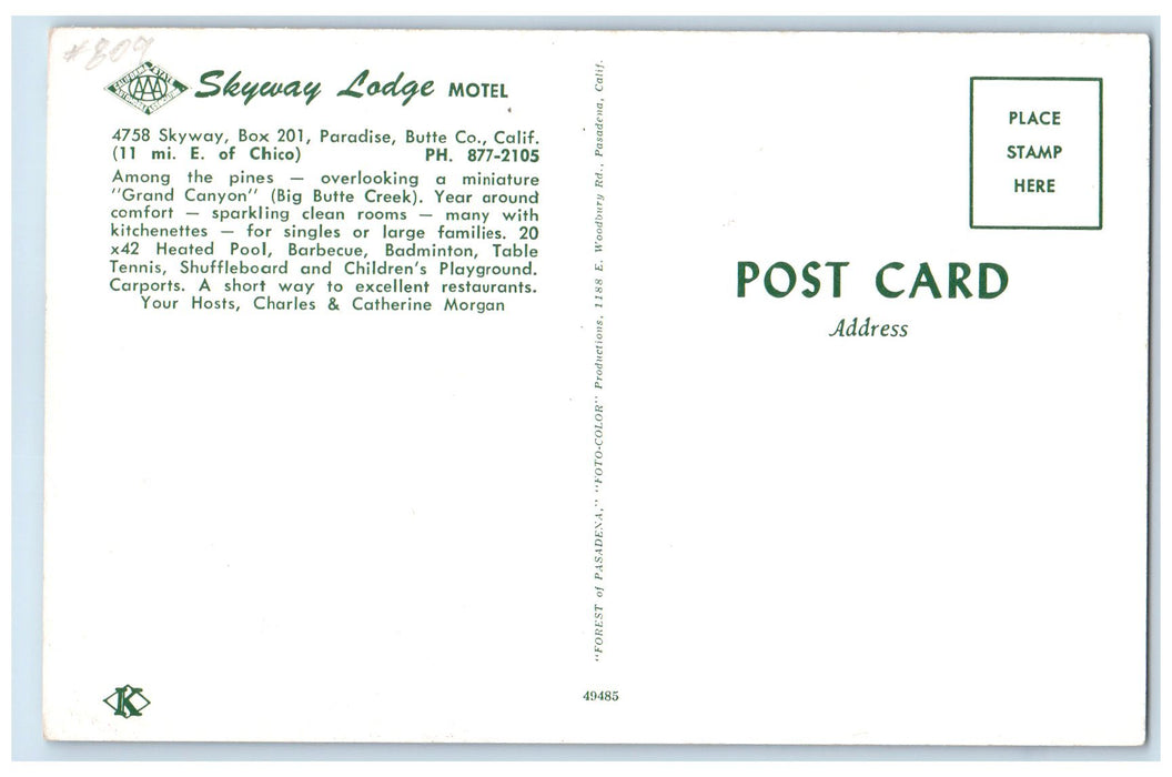 c1960's Skyway Lodge Motel Butte County California CA Unposted Swimming Postcard