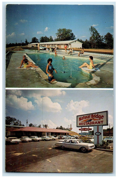 c1960s Natural Bridge Motel & Restaurant Natural Bridge Alabama AL Pool Postcard