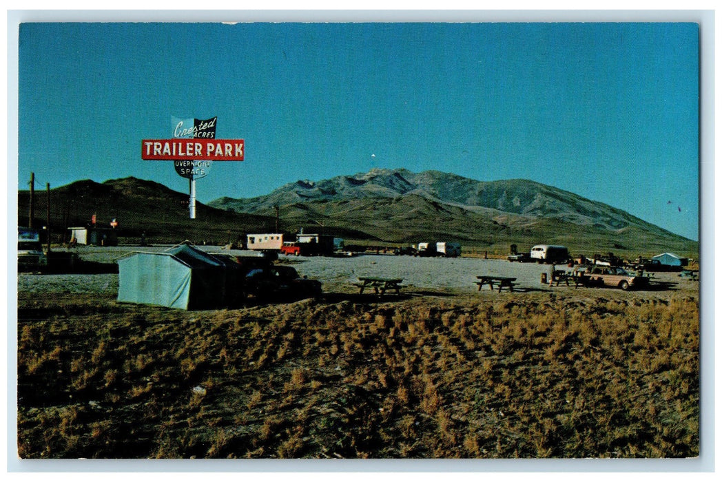 c1960's Crested Acres Trailer Park Tent Scene Wells Nevada NV Unposted Postcard