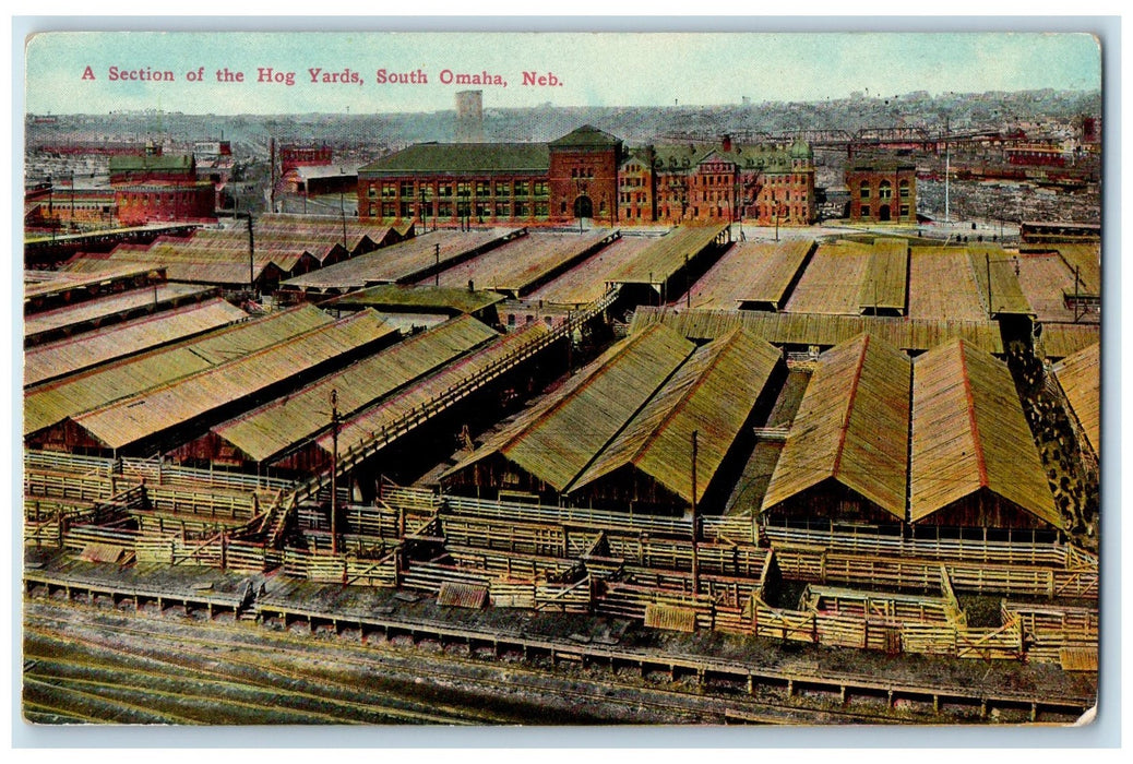 c1910's A Section Of The Hog Yards South Omaha Nebraska NE Unposted Postcard