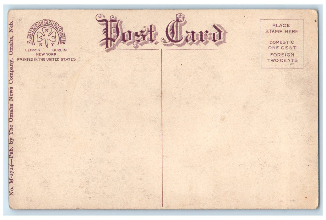 c1910's A Section Of The Hog Yards South Omaha Nebraska NE Unposted Postcard