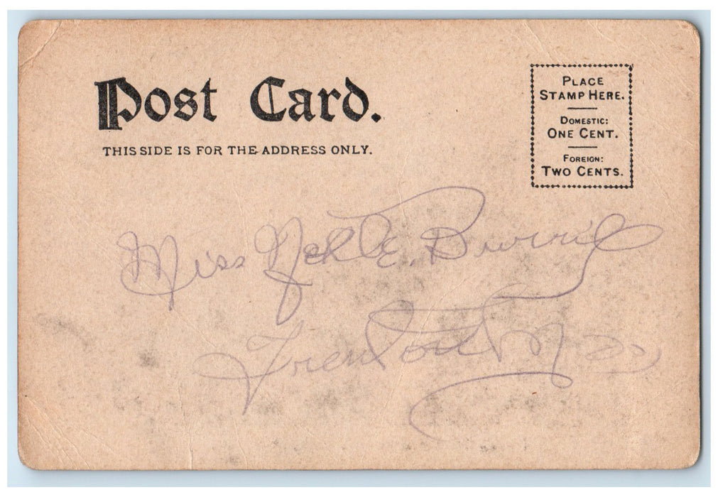 c1905s Public Library Building Exterior Roadside York Nebraska NE Trees Postcard