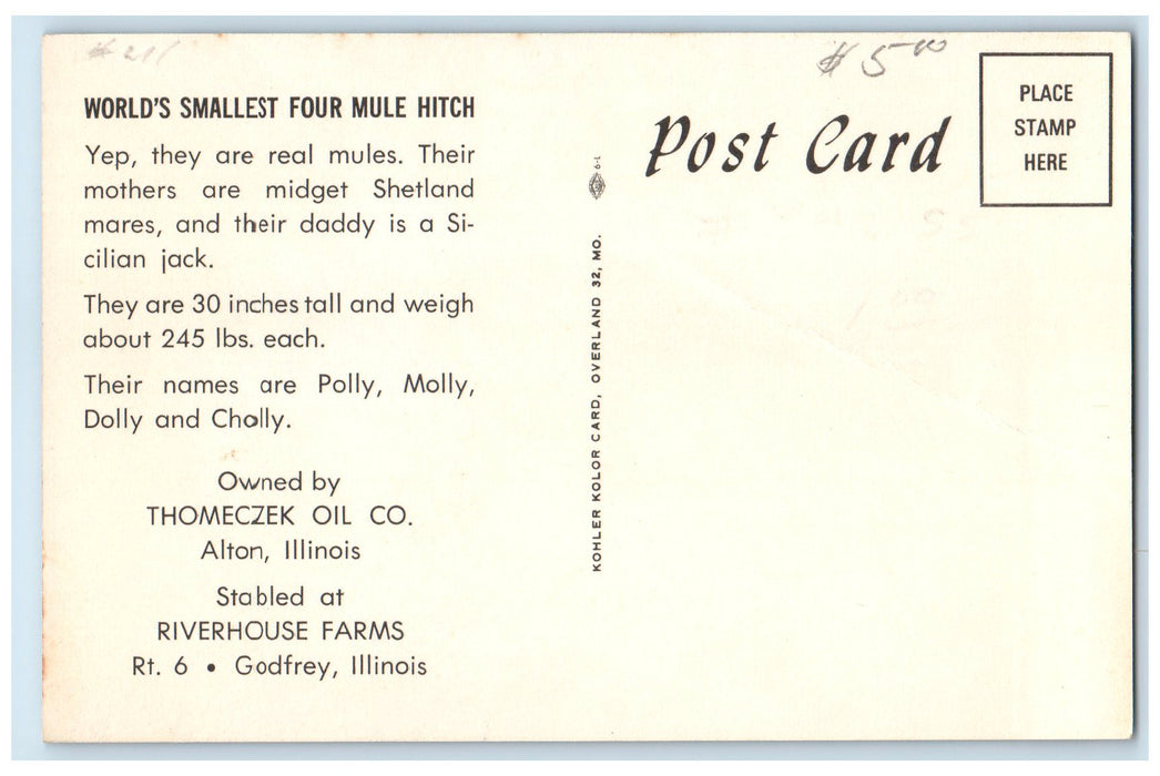 c1950's World's Smallest Four Mule Hitch 30 Inches Godfrey Illinois IL Postcard