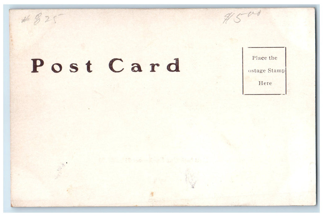 c1905's New High School Campus Building Kewanee Illinois IL Advertising Postcard
