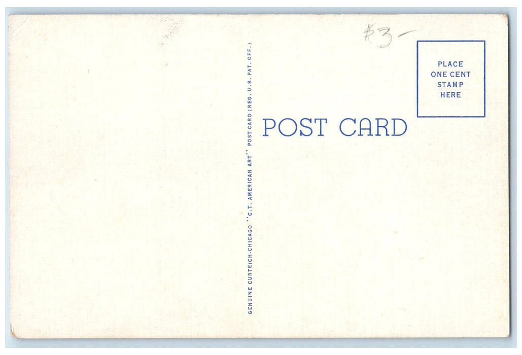 c1920's New High School Campus Building Ground Edwardsville Illinois IL Postcard