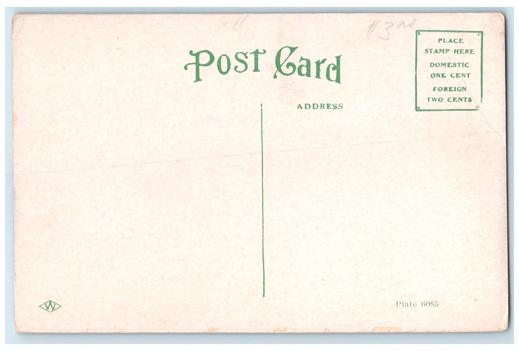 c1910's I.O.O.F. Old Folks Home Exterior Mason City Iowa IA Unposted Postcard