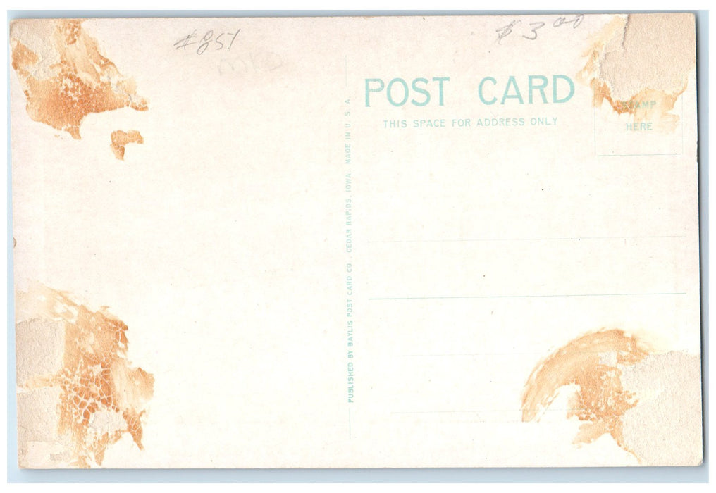 c1920's Memorial Exterior Coliseum Cedar Rapids Iowa IA Unposted Flag Postcard