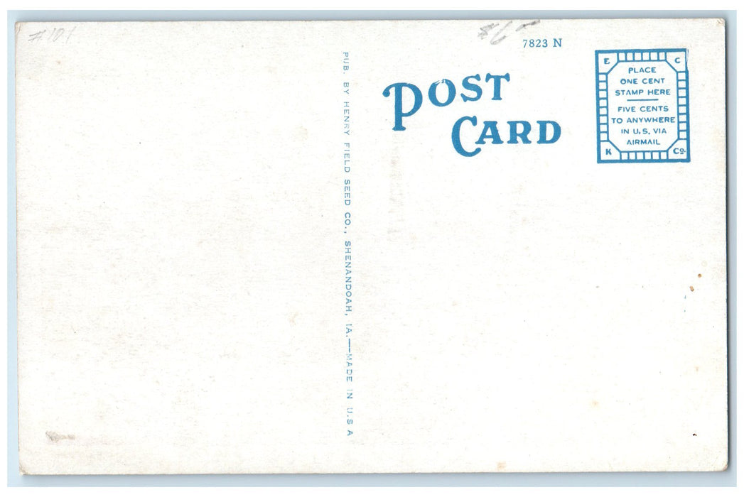 c1920's Show Gardens Henry Field Seed Co. Shenandoah Iowa IA Unposted Postcard