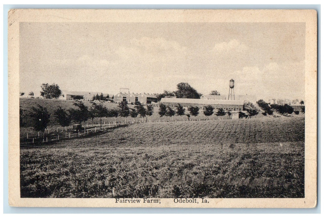 1920 Scenic View of Fairview Farm Trees Odebolt Iowa IA Posted Antique Postcard