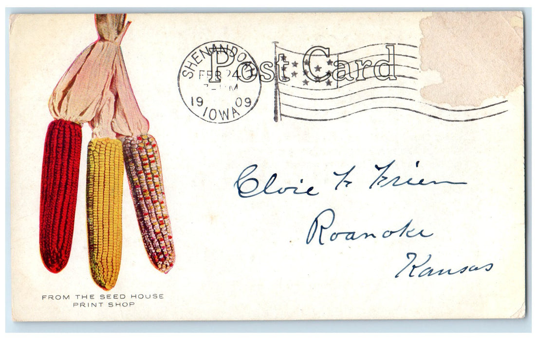 1909 Henry Field Seed Company Acknowledgement Of Order Shenandoah IA Postcard