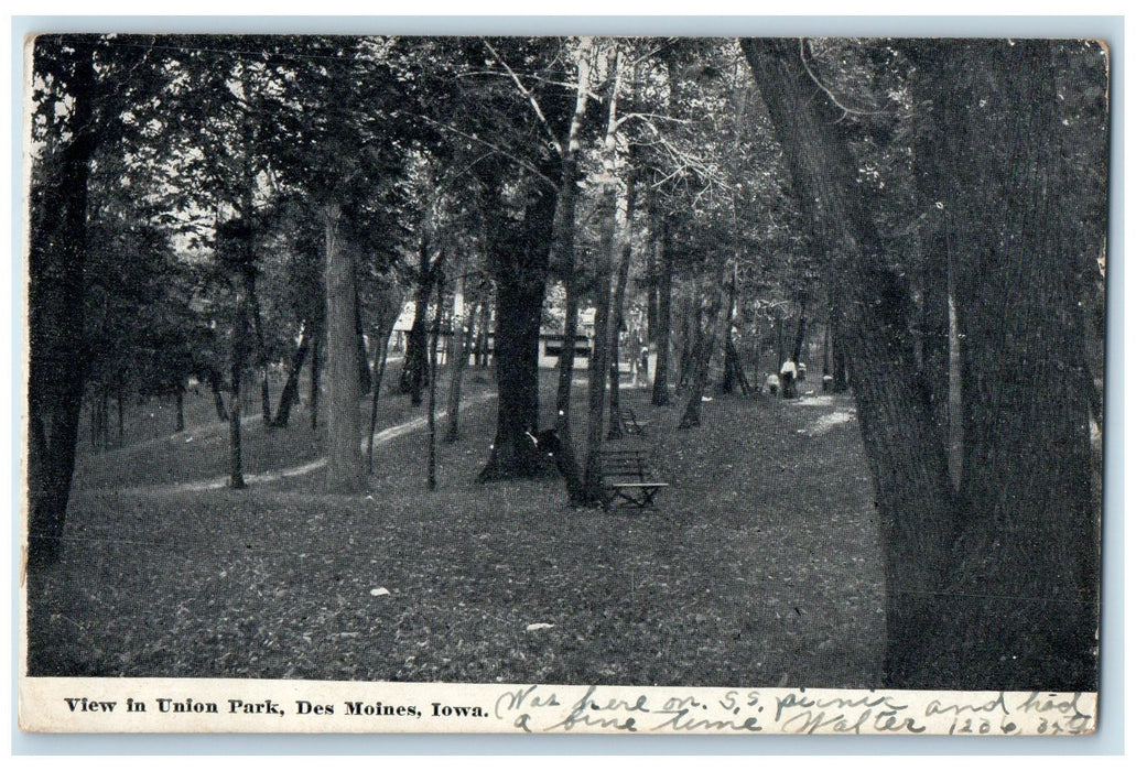 1916 View In Union Park Trees & Bench Des Moines Iowa IA Posted Vintage Postcard