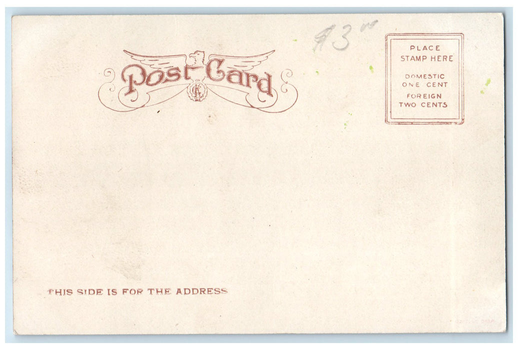 c1905's Wadena Park Monument Trees Wadena Minnesota MN Unposted Vintage Postcard