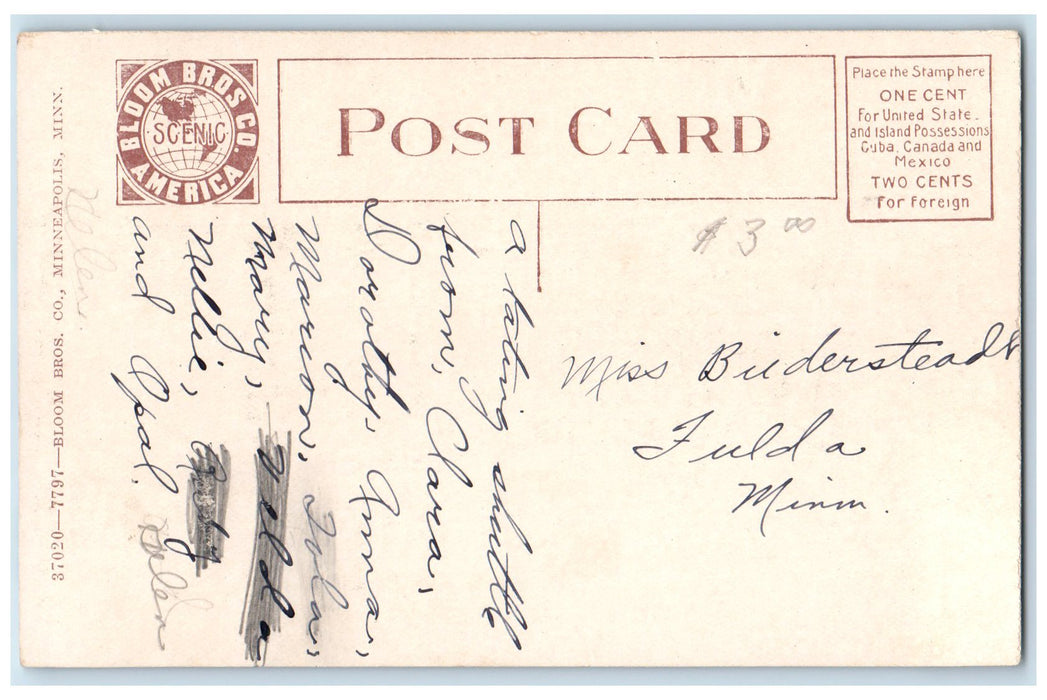 c1910s School House Exterior Roadside Fulda Minnesota MN Unposted Trees Postcard