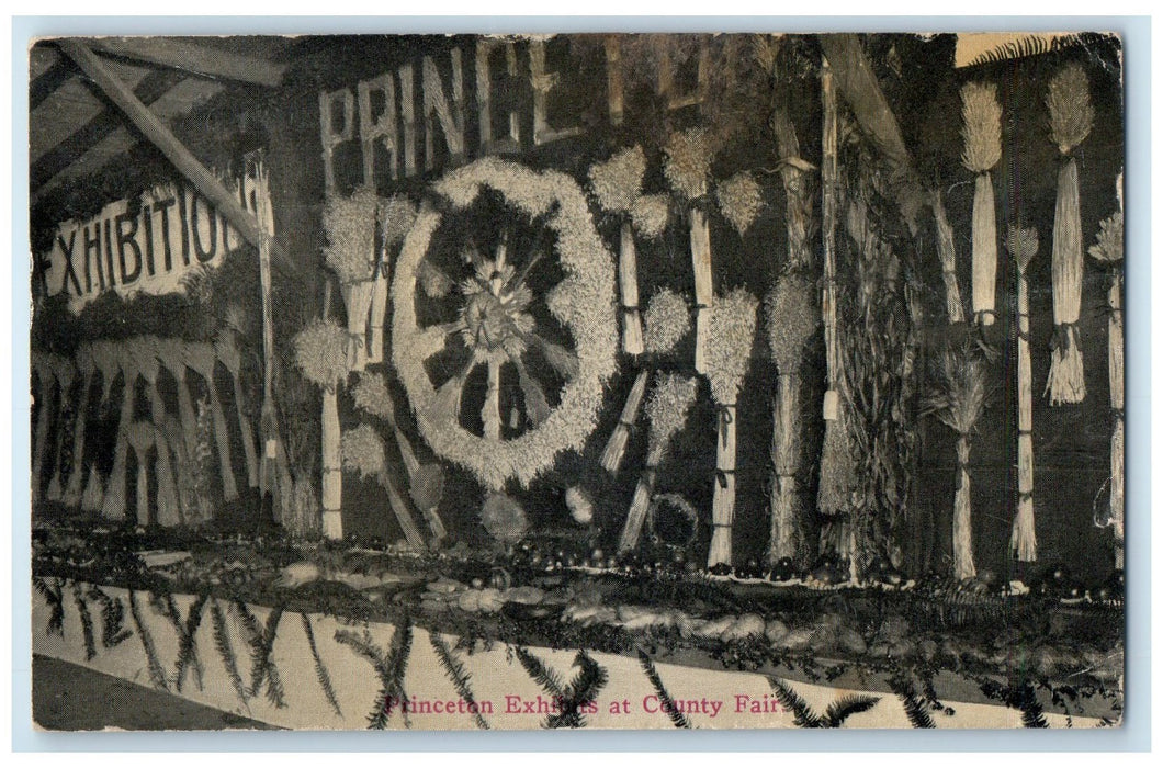 1910 Princeton Exhibits At County Fair Princeton Indiana IN Posted Postcard