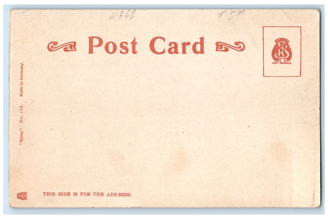 c1905's Panorama View Of Residence & Business Topeka Kansas KS Unposted Postcard