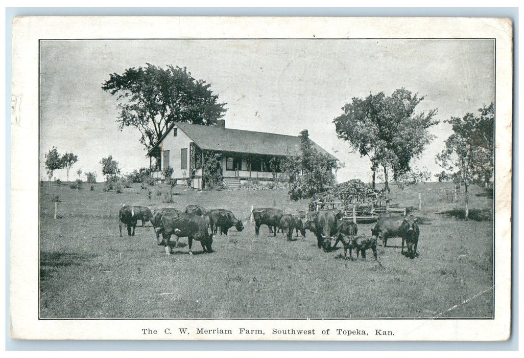 1908 The CW Merriam Farm Cows Scene Southwest Of Topeka Kansas KS Trees Postcard