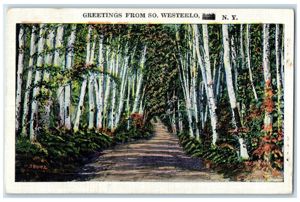 1938 Greetings From South Westerlo Lined Trees Dirt Road New York NY Postcard