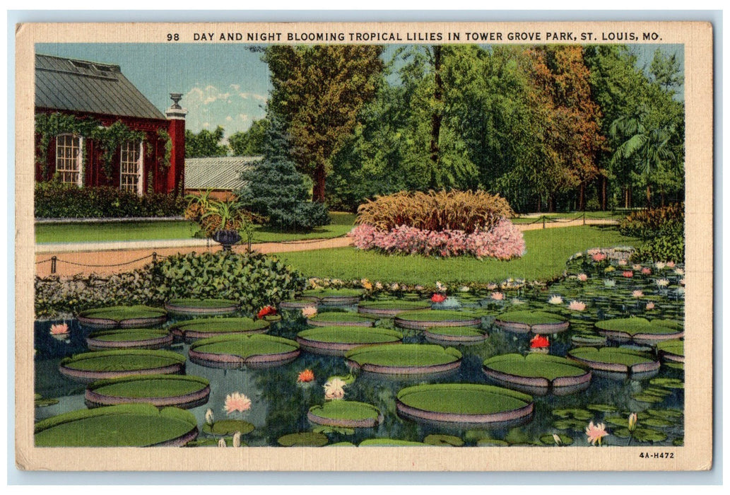 1937 Blooming Tropical Lilies In Tower Grove Park St. Louis Missouri MO Postcard