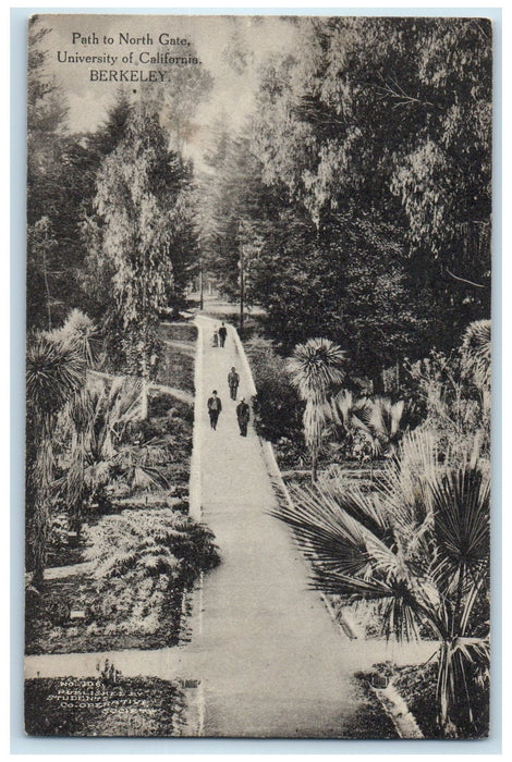 1915 Path To North Gate University Of California Berkeley California CA Postcard