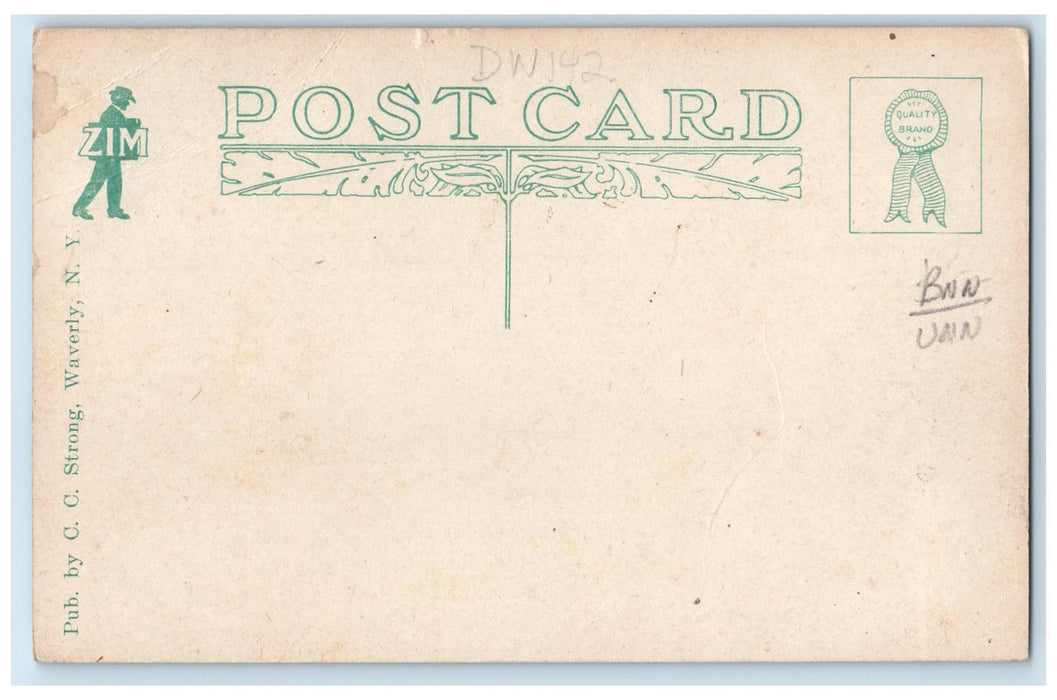 c1910s National Protective Legion Building Waverly New York NY Unposted Postcard