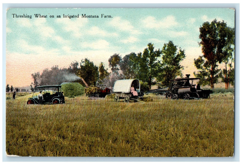 c1910's Threshing Wheat On A Irrigated Montana Farm Montana MT Unposted Postcard