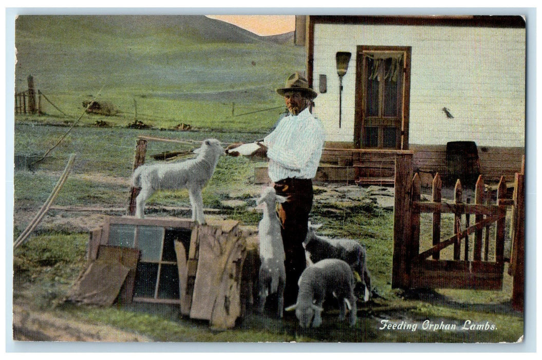 c1910's Feeding Orphan Lambs Frontier Cowboy Scene Unposted Vintage Postcard