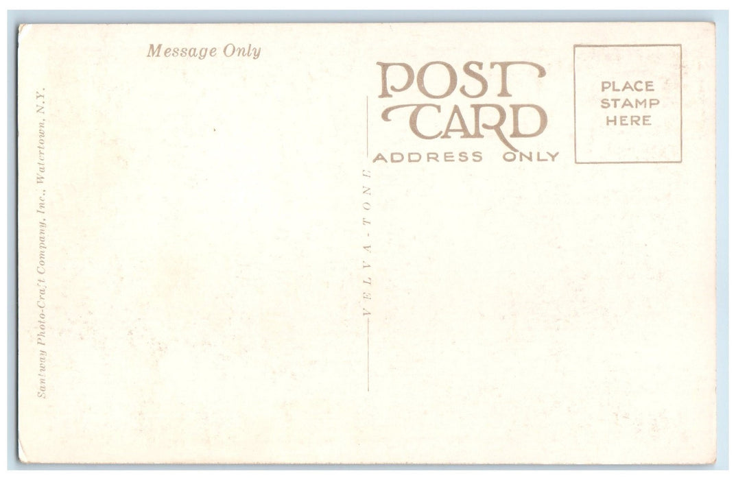 c1920s Falls At Devil's Parlor Enfield Glen State Park New York NY Tree Postcard