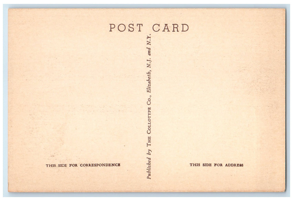 c1940s Windsor Jams Near West Tree Cummington Massachusetts MA Unposted Postcard