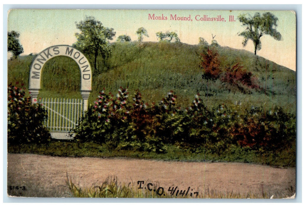 1912 Monks Mound Trees Scene Collinsville Illinois IL Posted Vintage Postcard