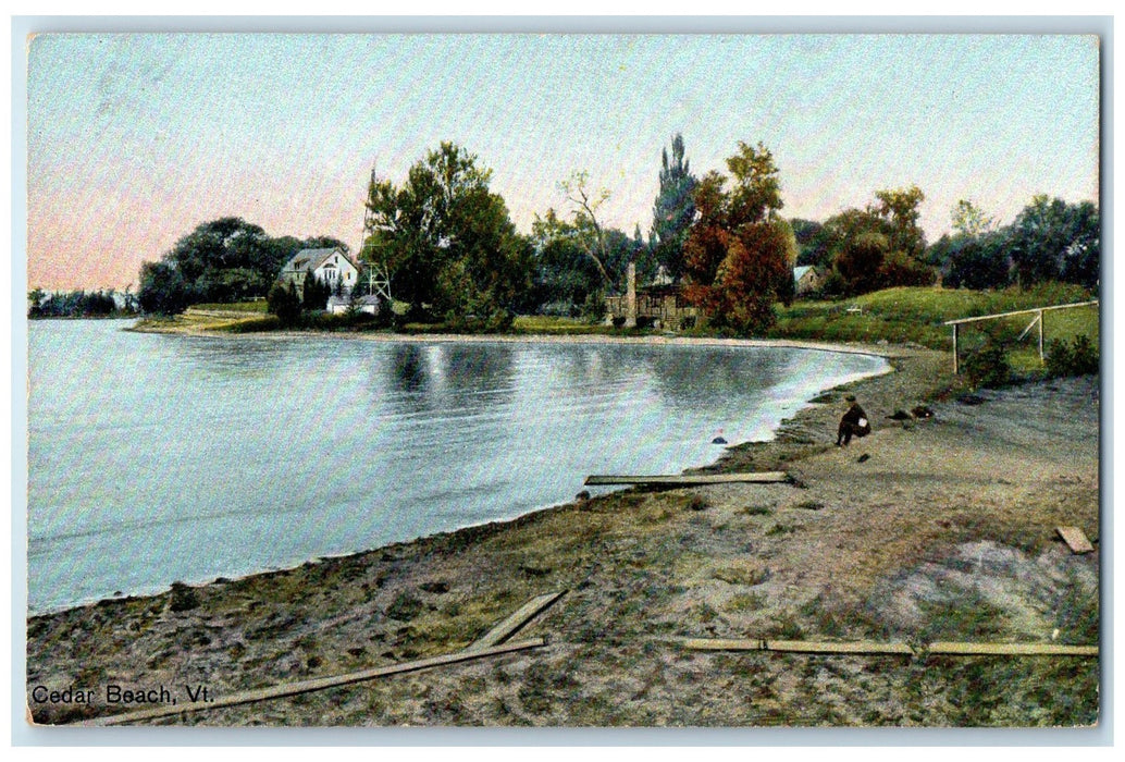 c1910's Trees Scene Man Sitting Cedar Beach Vermont VT Unposted Vintage Postcard